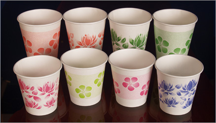Party / Promotional Cups